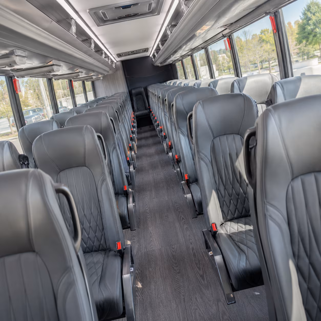 minibuses for nature and wildlife field trips near pompano beach